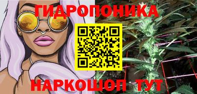 дурь Берёзовский