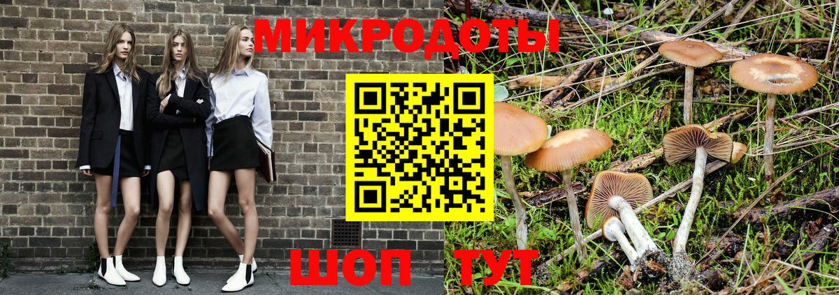 Артём  Галлюциногенные грибы Psilocybe  Вход с VPN 